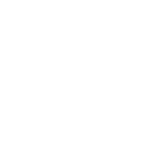 DUT - 500x500
